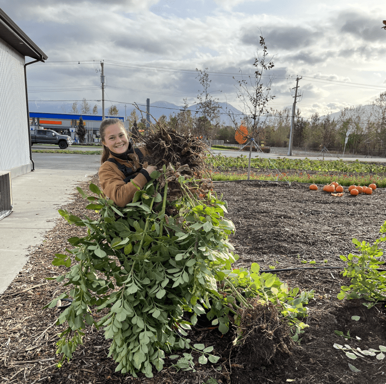 Courtney Barten The Local Harvest Farm