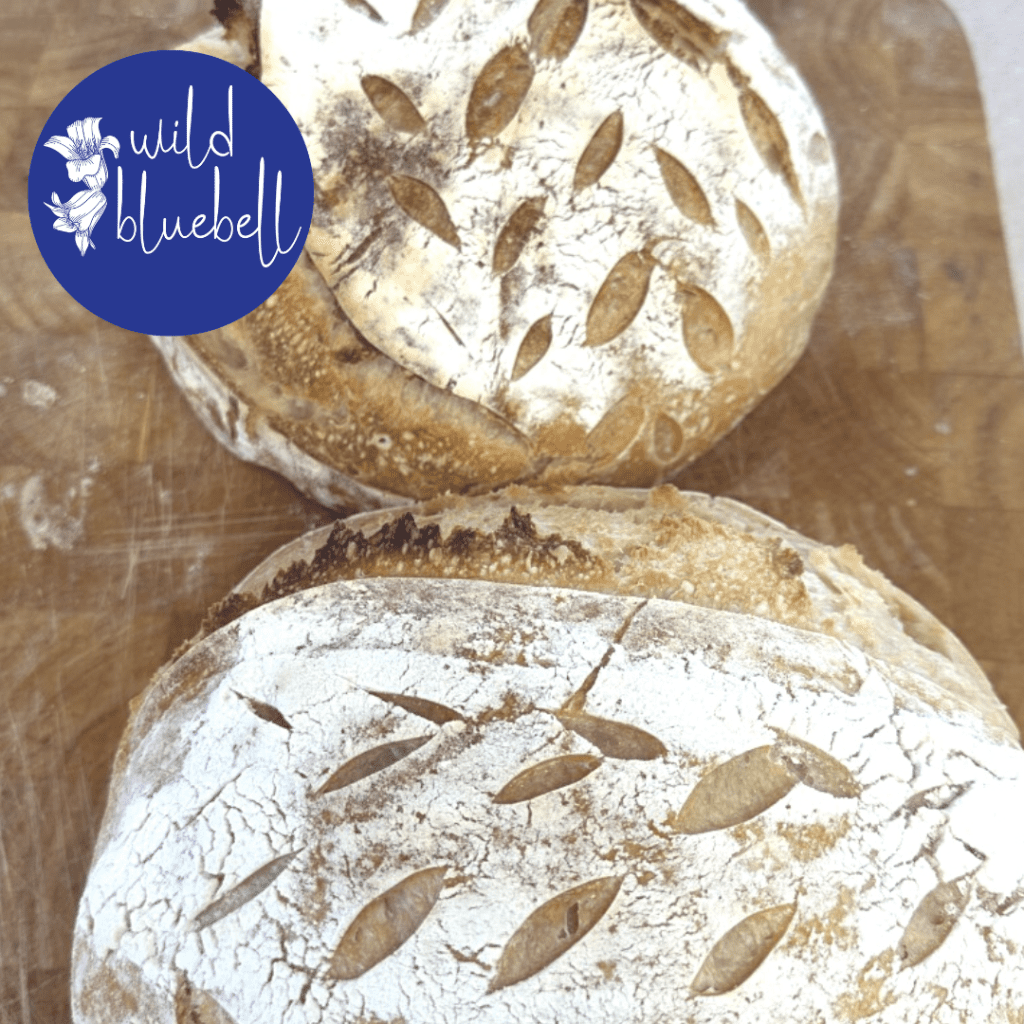 bake fresh homemade organic sourodough bread using a starter culture from wild bluebell homestead