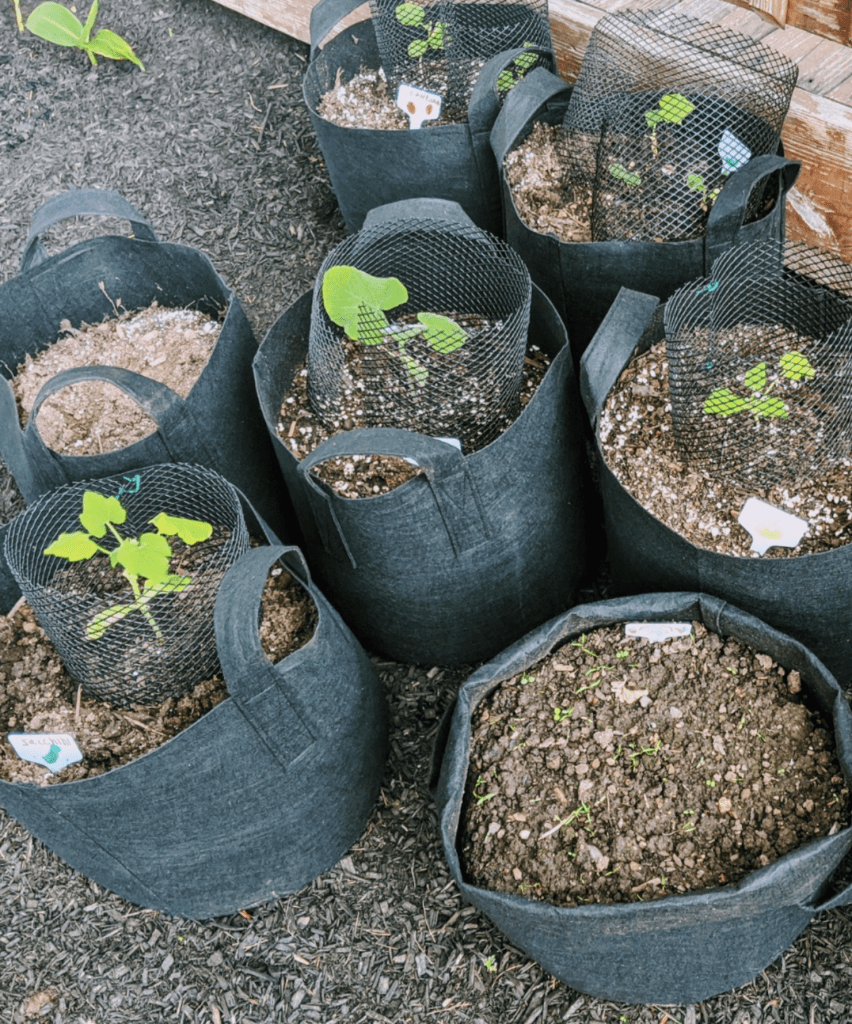 reusable gardening grow bags for your homesteading garden in canada
