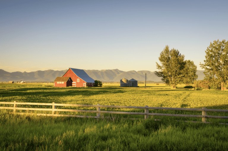 Top 10 Eco-Friendly and Sustainability Tips For Homesteading Families