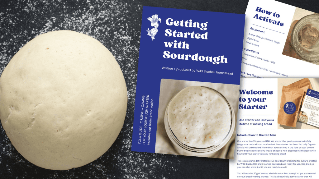 wild bluebell sourdough starter guide ebook pdf