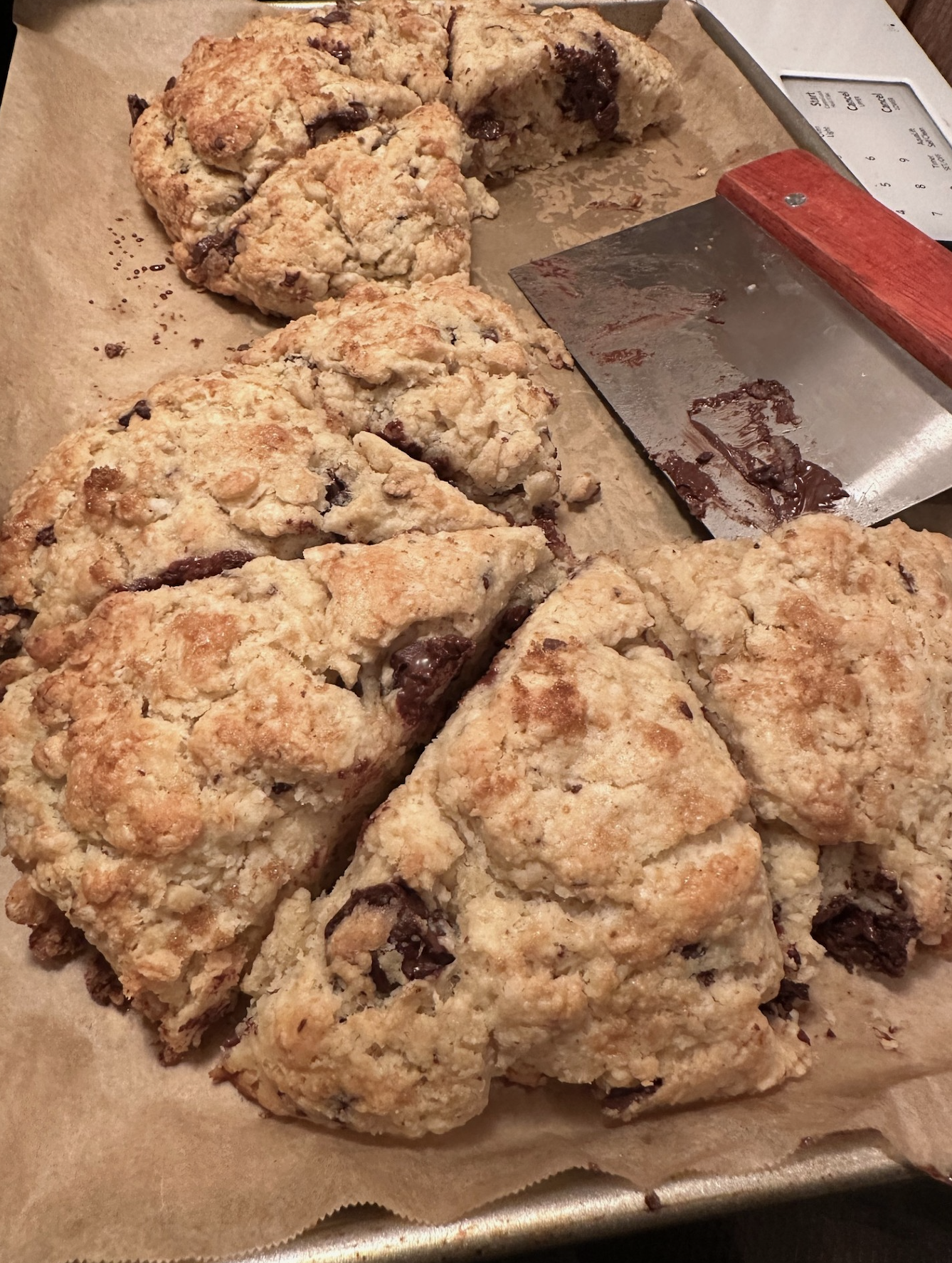 Sourdough Discard Scones Recipe 5